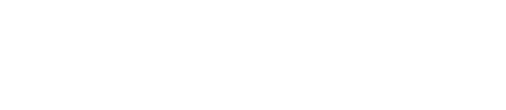 Logo Zuiderburen WK-pool